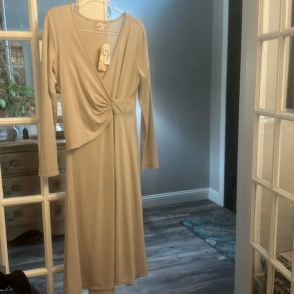 Champagne Color BOG Collective Dress L NWT